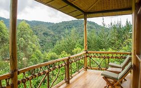 Ichumbi Gorilla Lodge
